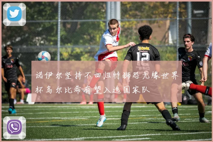 诺伊尔坚持不回归特狮恐无缘世界杯乌尔比希有望入选国家队