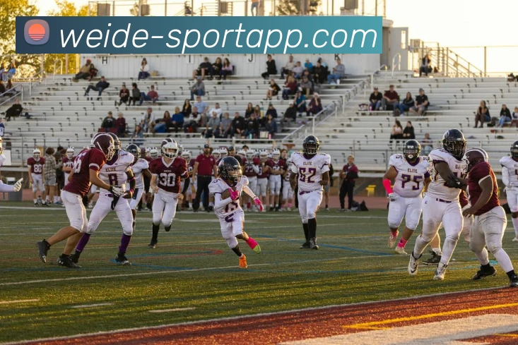 App Interface Preview